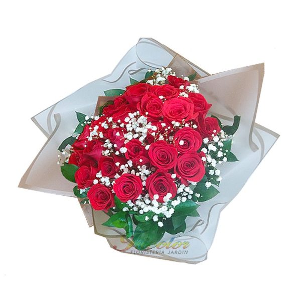 Rosas-24 gipso