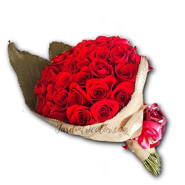 Rosas-50