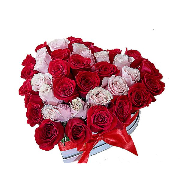 Corazón de melón - Imagen 2