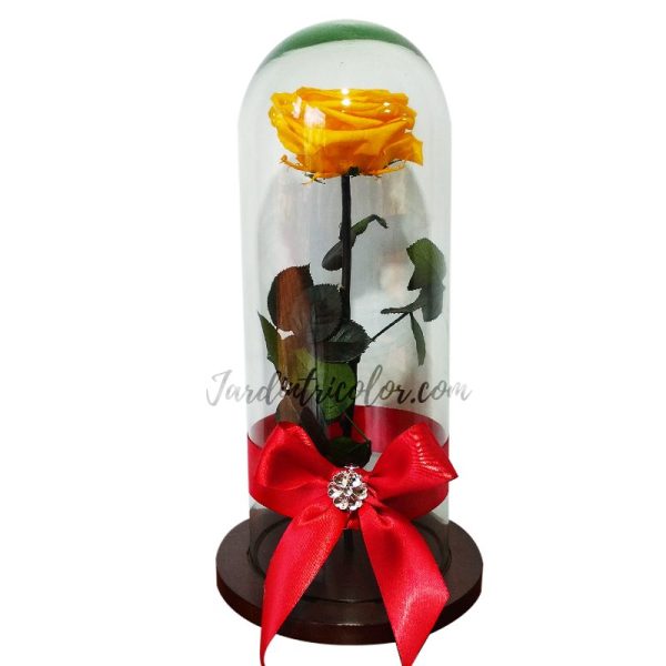 Rosa Preservada Amarilla 27 Cms