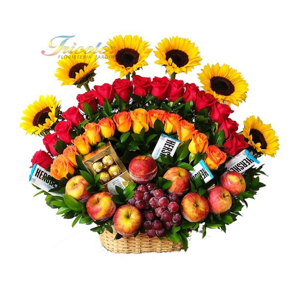 Arcoiris Girasol Frutal