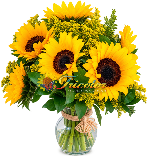 Florero Girasol