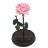 Rosa Preservada Rosada 25 Cms - Imagen 2