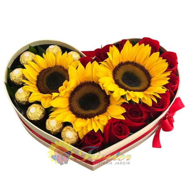 Encanto de Sol y Rosa