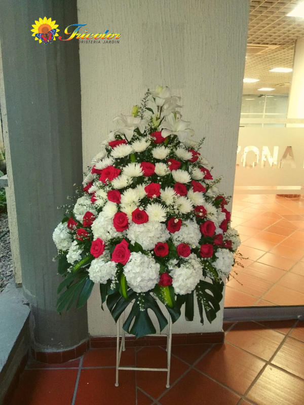 Paquete #1 - Imagen 2
